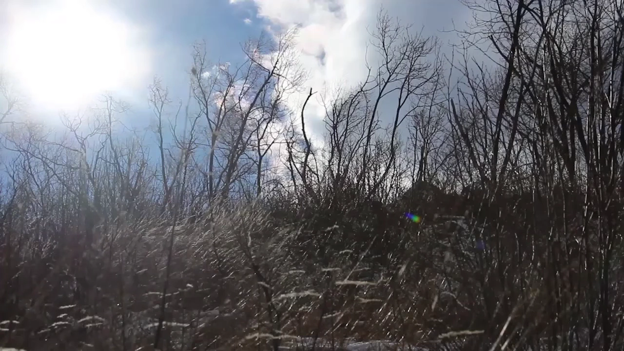 空の音。効果音・癒やしの環境音