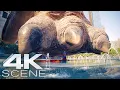 Download Lagu Superman vs Kaiju (2025) Gevechtsscène - SUPERMAN-filmfragment | 4K Blu-ray