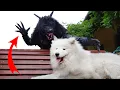 How to make SCARY WEREWOLF Costume