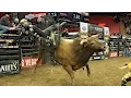 This 19-year-old cowboy made 117 000 for 32 seconds of work