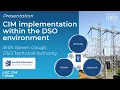 CIM implementation within the DSO environment