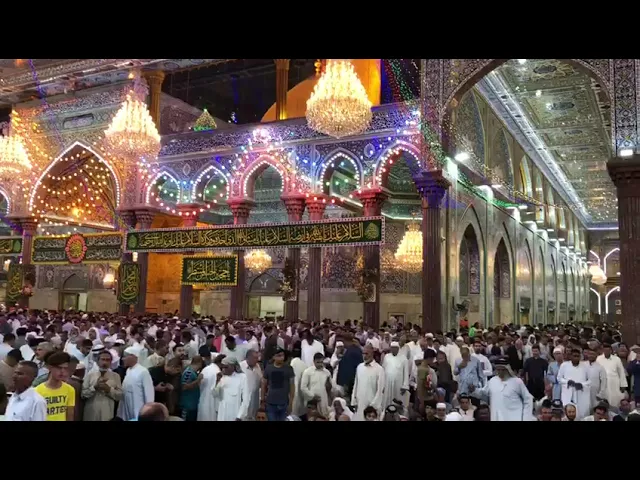⁣Dua for Imam Mahdi in Karbala by Ayatollah Qazwini