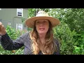 Berkeley Unified School District - Episode One Health Investments for Berkeley
