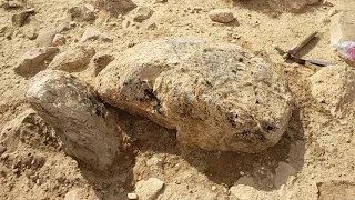 مجسم الضفدع العجيب وفسقية البربر 