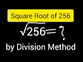 How to Find the Square Root of 256 Division Method Explained Step by Step