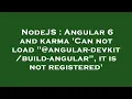 NodeJS Angular 6 and karma Can not load angular--angular it is not registered