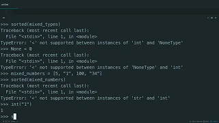 Common Issues with Sorting in Python