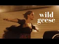 wild geese