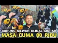 Lagu JUALAN APA SEDEKAH || CAK RANTING JTN 50 RIBU KINOY 80 RIBU BEO 700 RIBU JAGAL PAPUA 600 RIBU