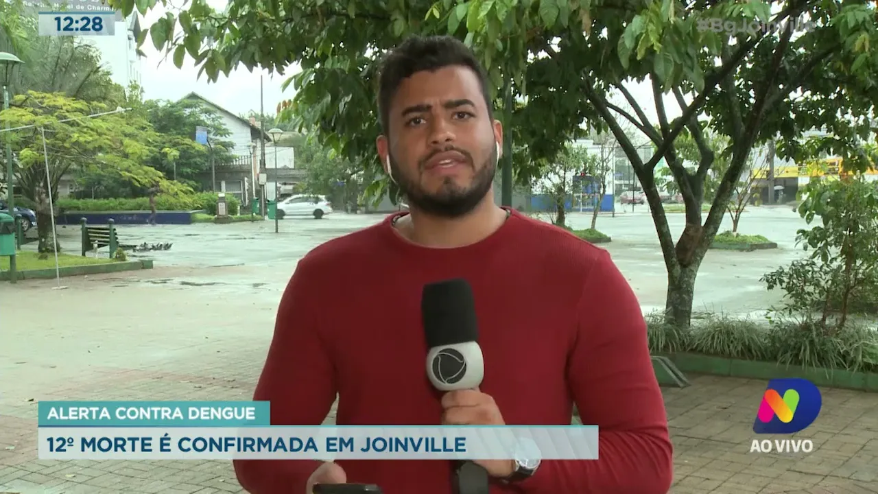 Alerta contra dengue: 12º morte é confirmada em Joinville