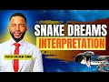 WARNING Seeing Snakes In Your Dreams What Does It Mean
