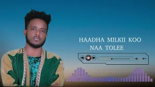 DINKISA DEBELA HALKAN URJII HIN QABNE New 2025 Oromo Music 