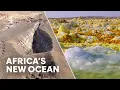Lagu Tectonic forces in Ethiopia are carving a new ocean across the continent