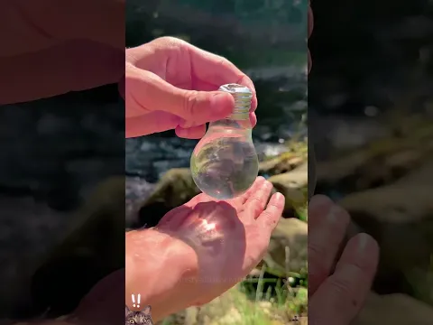 Genius Survival Trick: Fire from a Bulb of Water 💡🔥#survival #bushcraft #camping