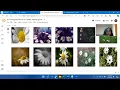 Training Resnet-50 model on flower-dataset