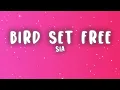 Sia - Bird Set Free (Lyrics)