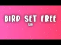 Sia - Bird Set Free (Lyrics)