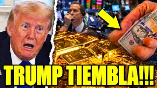🚨 HOLANDA RETIRA TODO SU ORO DE EEUU! Tremendo PORTAZO a TRUMP