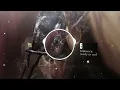 ready or not -brakence (visualiser)