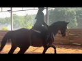 Flatwork with Bella