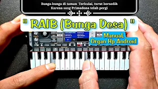 Download Enak Buat Karaoke | RAIB (Bunga Desa) MANUAL Cover Organ HP MP3