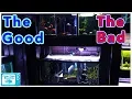 10 Gallon Fish Tank Pros and Cons Are They Worth It