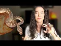 How to Read Your Snake - Body Language 101