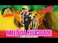 VAZOU MELÔ DA FELICIDADE | SLY FOXX 2024