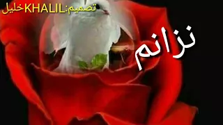 اجمل حالة واتس كردي مع اغنية نزانم نزانم 