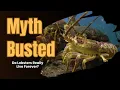 Do Lobsters Really Live Forever The Truth About Lobster Immortality Exposed