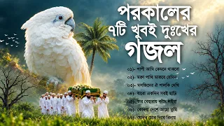 Very Heart Touching Porokaler Top 7 Gojol | হৃদয়স্পর্শী পরকালের ৭টি বাছাইকৃত গজল | New Album Gojol