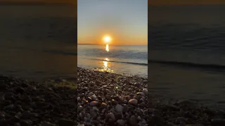 Relaxing Video Of A Sunrise Beach Shorts 