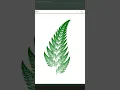 Draw Barnsley s Fern with Chaos Game In Python Turtle