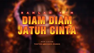 diam diam jatuh cinta ramlah ram ai cover