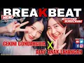 Download Lagu DJ CEKINI GONDANG DIA x ALAY ANAK LAYANGAN || BREAKBEAT 2023 || #dj #dj2023 #breakbeat #dj2022