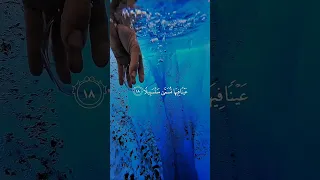 عينا فيها تسمى سلسبيلا محمد اللحيدان  عينا فيها تسمى سلسبيلا محمد اللحيدان