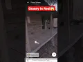 Download Lagu Proof Granny Is Real 😱 I Found Granny House On Google Earth 🤔 #shorts #granny