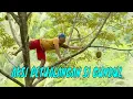 Download Lagu [FULL] AKSI PETUALANGAN SI GUNDUL | JEJAK SI GUNDUL (05/09/23)