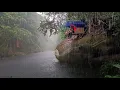 Download Lagu 3 dagen alleen kamperen aan de rivier || Solo kamperen in hevige regen