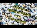 Download Lagu Kalabbian sin sambahayang bal jama'a amu in sap panagnaan... @ Awakening Voice
