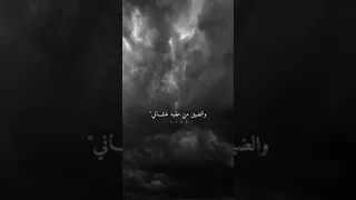 شيلة ذكريات الشتاء تصاميم 