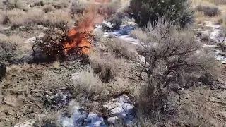 Fighting Fire With Fire
