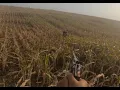 Download Lagu Desta vez não escapei da mira dele 😱🎯
