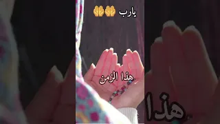 يارب    ابنتي حبيبتي    دندنها