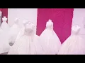 Daleen Bridal | Wedding Dresses/Accessories/Hire & Sell