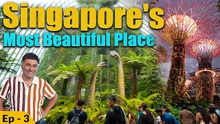 EP 3 Singapore- Orchard road, Chinese and japanese garden, IMM mall, Night safari