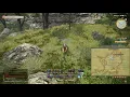 Final Fantasy XIV Galago