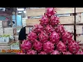 Update harga terbaru : Buah Naga di Pasar Induk Kramat Jati