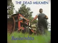 Punk Rock Girl - The Dead Milkmen