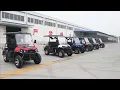 Vitacci Rover 200 EFI Golf Cart Walk Around